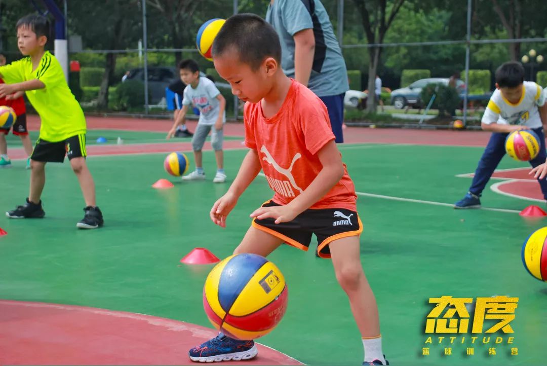  篮球夏令营报名启动，暑期特训即将开启