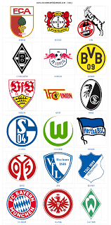  网坛常青树费德勒复出，慈善表演赛筹款破纪录