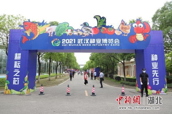  电竞装备科技赋能助力选手发挥